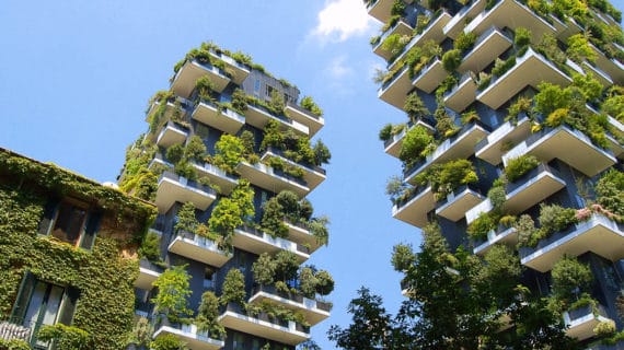Zelená inšpirácia – fasády plné stromov