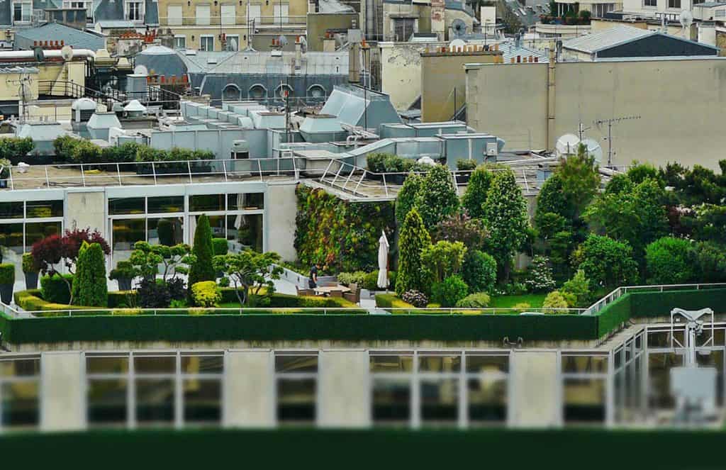 Zelené strechy v meste