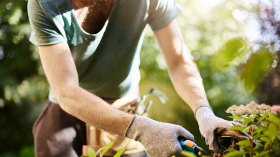 Ako odstrániť burinu v záhrade