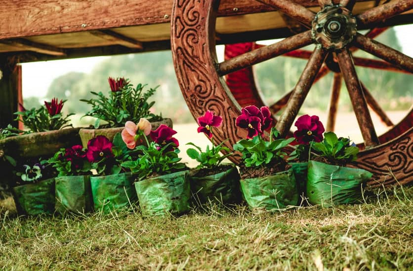 Upratovanie záhrady